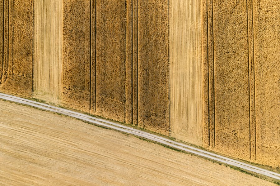 Aerial view of golden farmland divided by a diagonal road, geometric crop field patterns from above