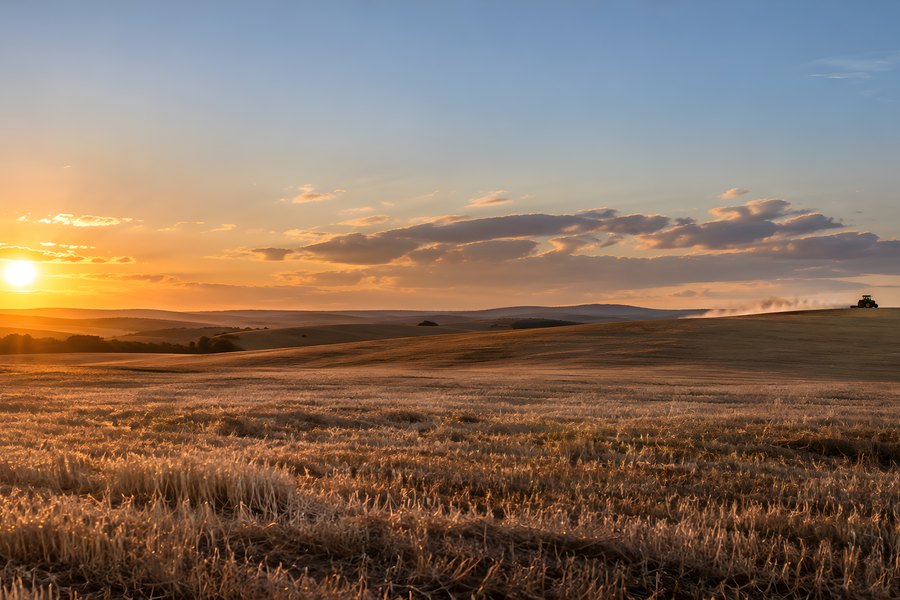 Golden Hour Sunset Over a Stubble Field With a Distant Tractor Trailing Dust Along a Ridge