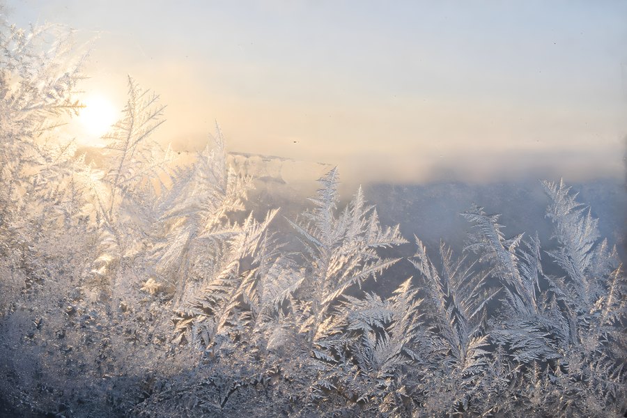 Macro ice crystals forming a frozen fern pattern on a window pane backlit by golden sunrise light