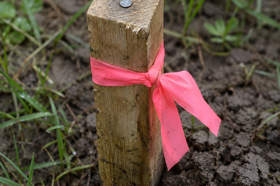 Wooden survey peg with nail and pink flagging tape marking a control point on a muddy construction site