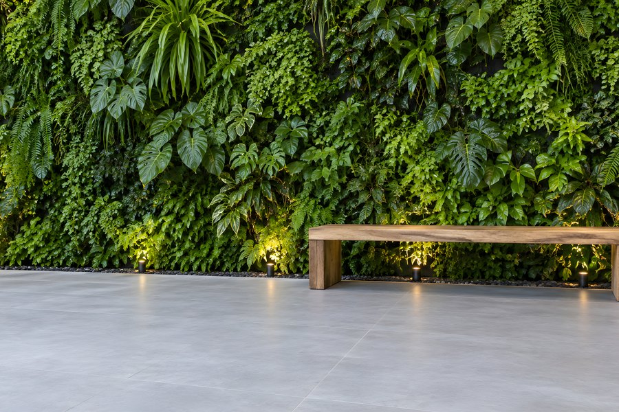Lush living green wall with a wooden bench in an empty biophilic office courtyard on polished concrete flooring