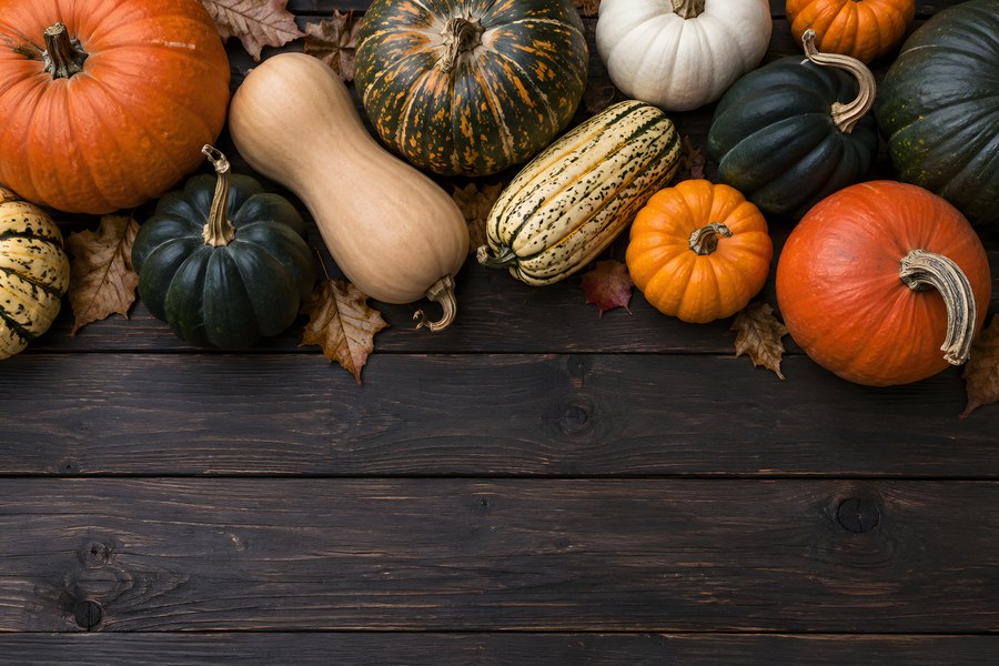 Assorted pumpkins and winter squash on a dark rustic wood table with autumn leaves and copy space