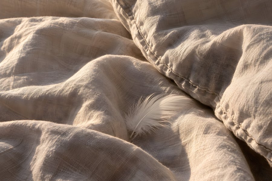 Close-up of rumpled linen duvet with warm morning light and a single feather