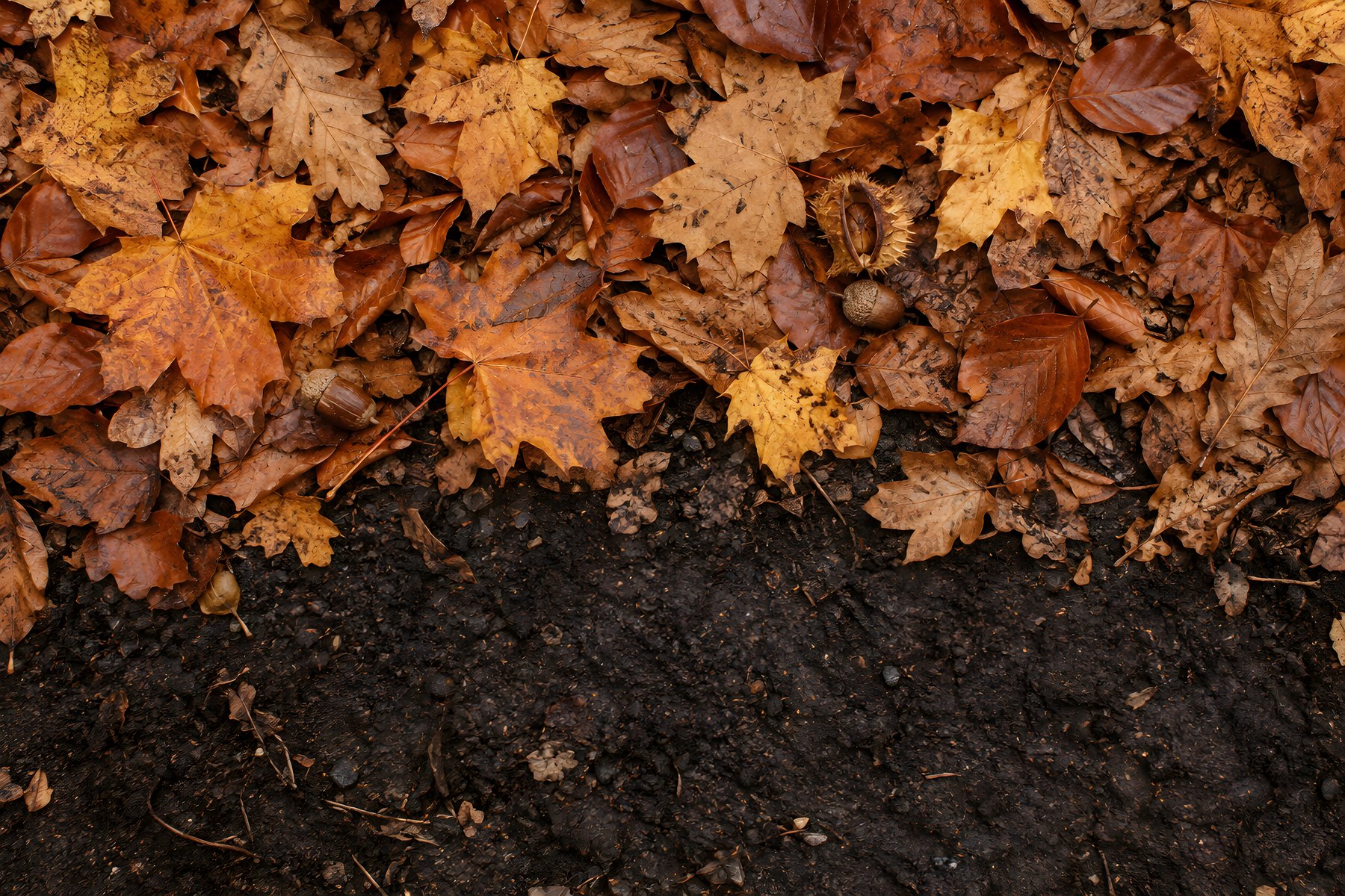 Autumn Winter Cosy Seasonal