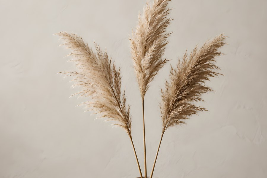 Dried Pampas Grass Plumes in a Textured Ceramic Vase Against a Neutral Beige Wall