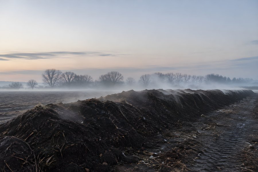 Steaming compost windrow stretching across a misty farm field at dawn, illustrating organic waste recycling and soil return