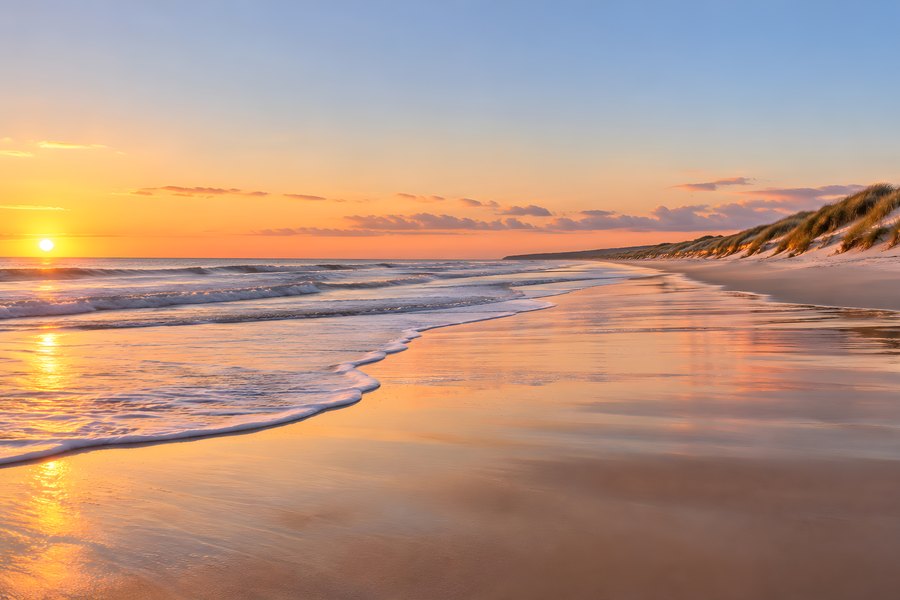 Empty golden sand beach at sunrise with gentle waves, wet sand reflections, and grassy dunes along a pristine coastline
