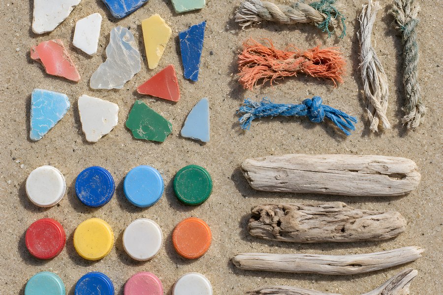 Collected Beach Litter Sorted on Sand: Plastic Fragments, Bottle Caps, Rope and Driftwood from an Ocean Cleanup