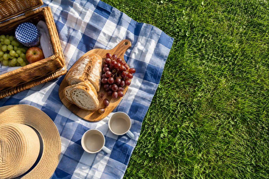 Overhead view of a picnic basket, bread, grapes and mugs on a blue checkered blanket in the grass with copy space