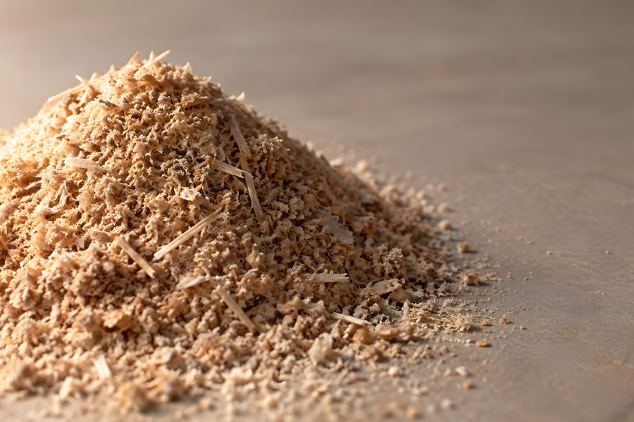 Close-up of a sawdust and wood shavings pile on a workbench surface with warm raking light and blurred copy space background