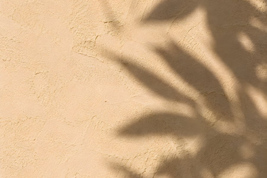 Hard afternoon sunlight casts a sharp palm leaf shadow across a warm beige textured plaster wall with copy space